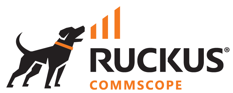 Ruckus Networks